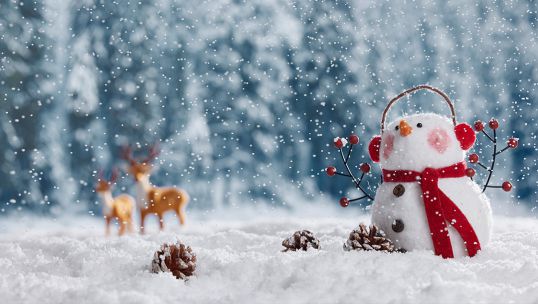 因?yàn)橛心悖瑴嘏^冬